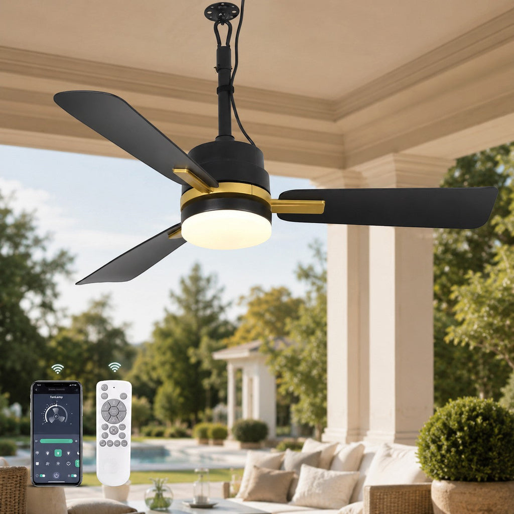 Soliva Ceiling Fan