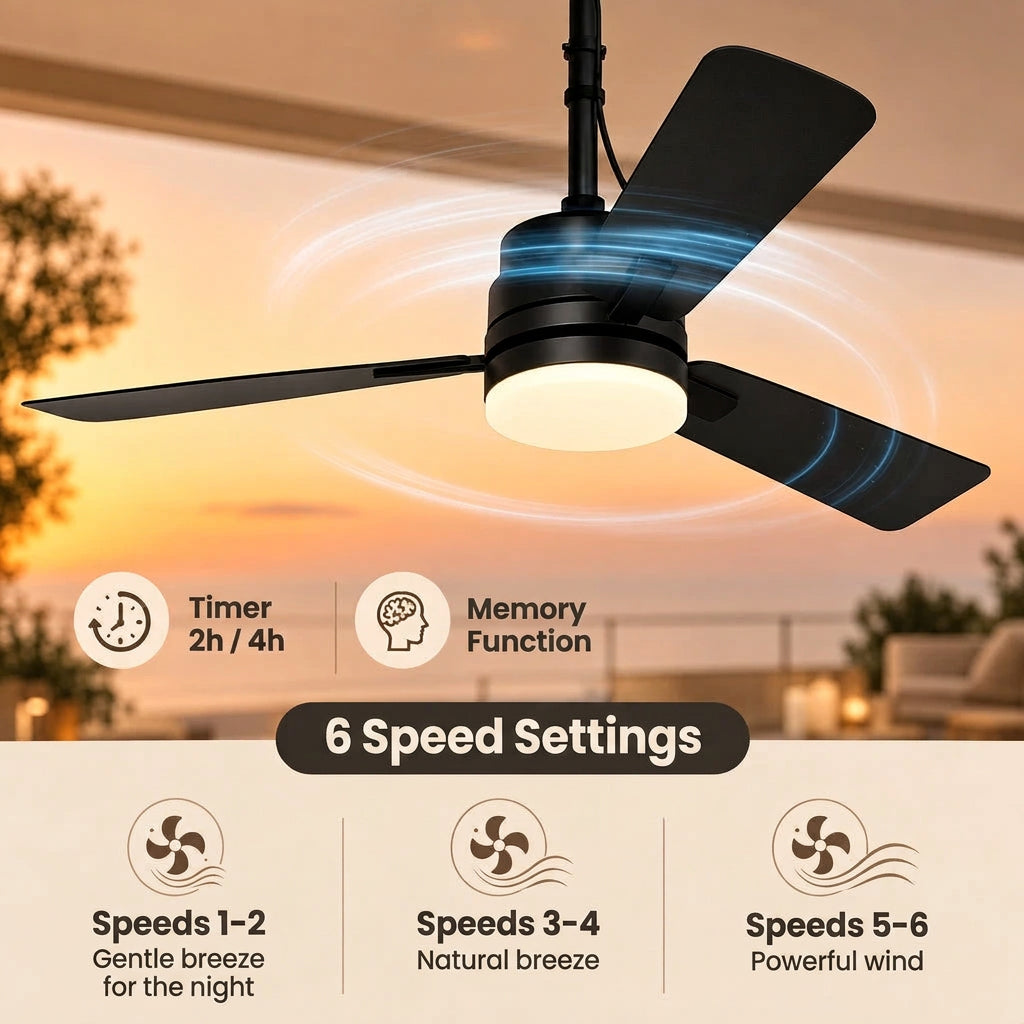 Soliva Ceiling Fan