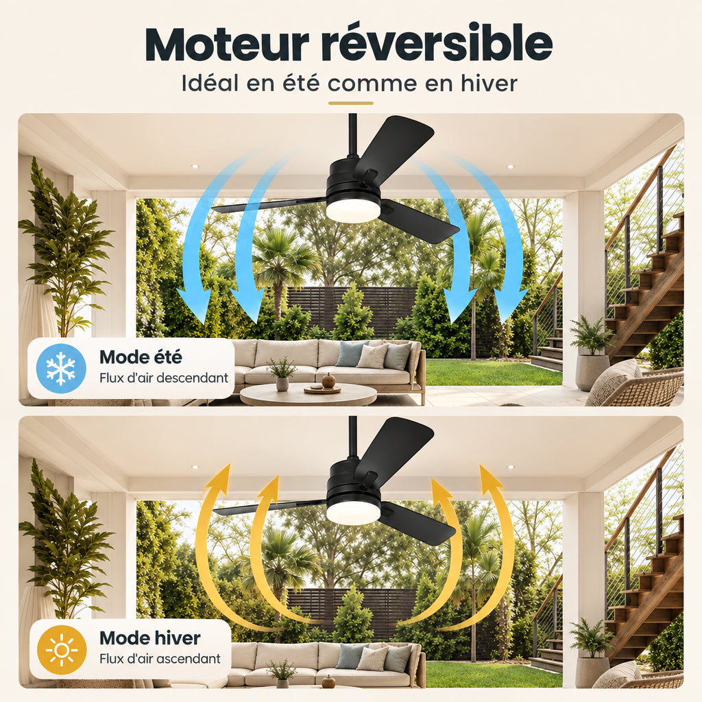 Soliva Ceiling Fan